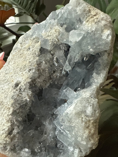 Celestite Geode 16