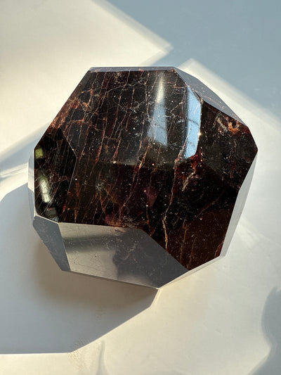 Faceted Garnet Showcase Piece 9