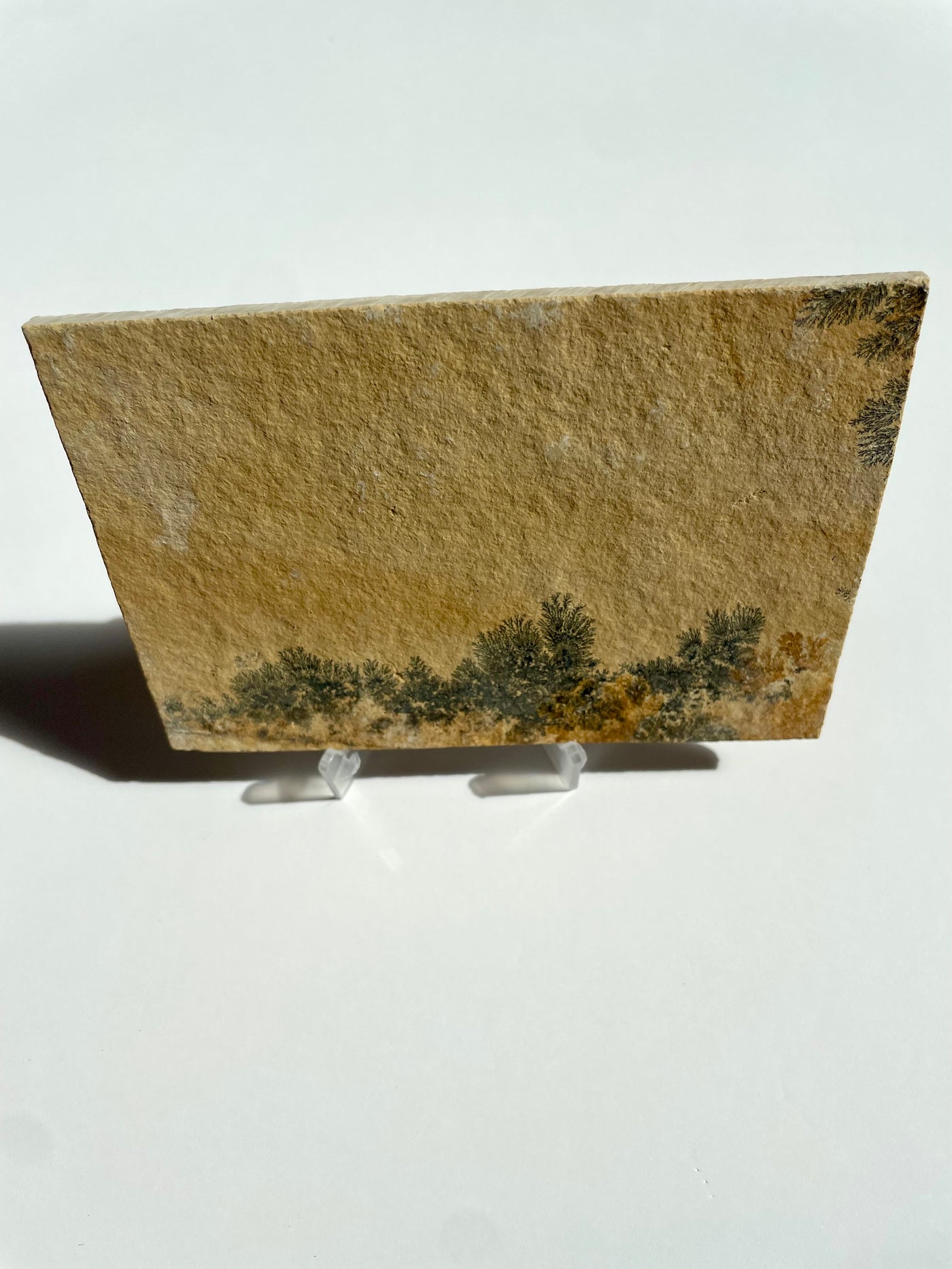 Dendritic Slab (Large)