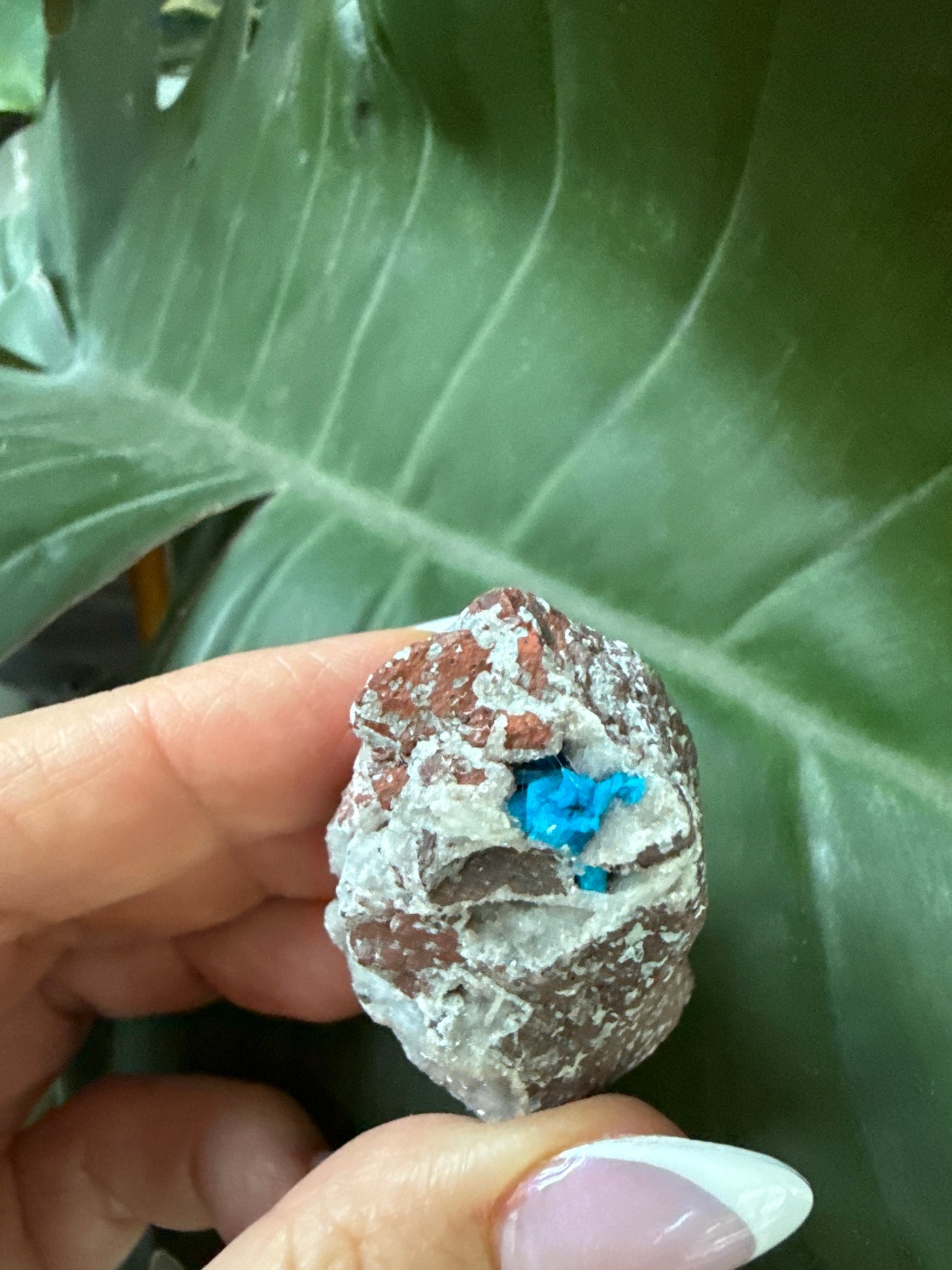 Cavansite 15
