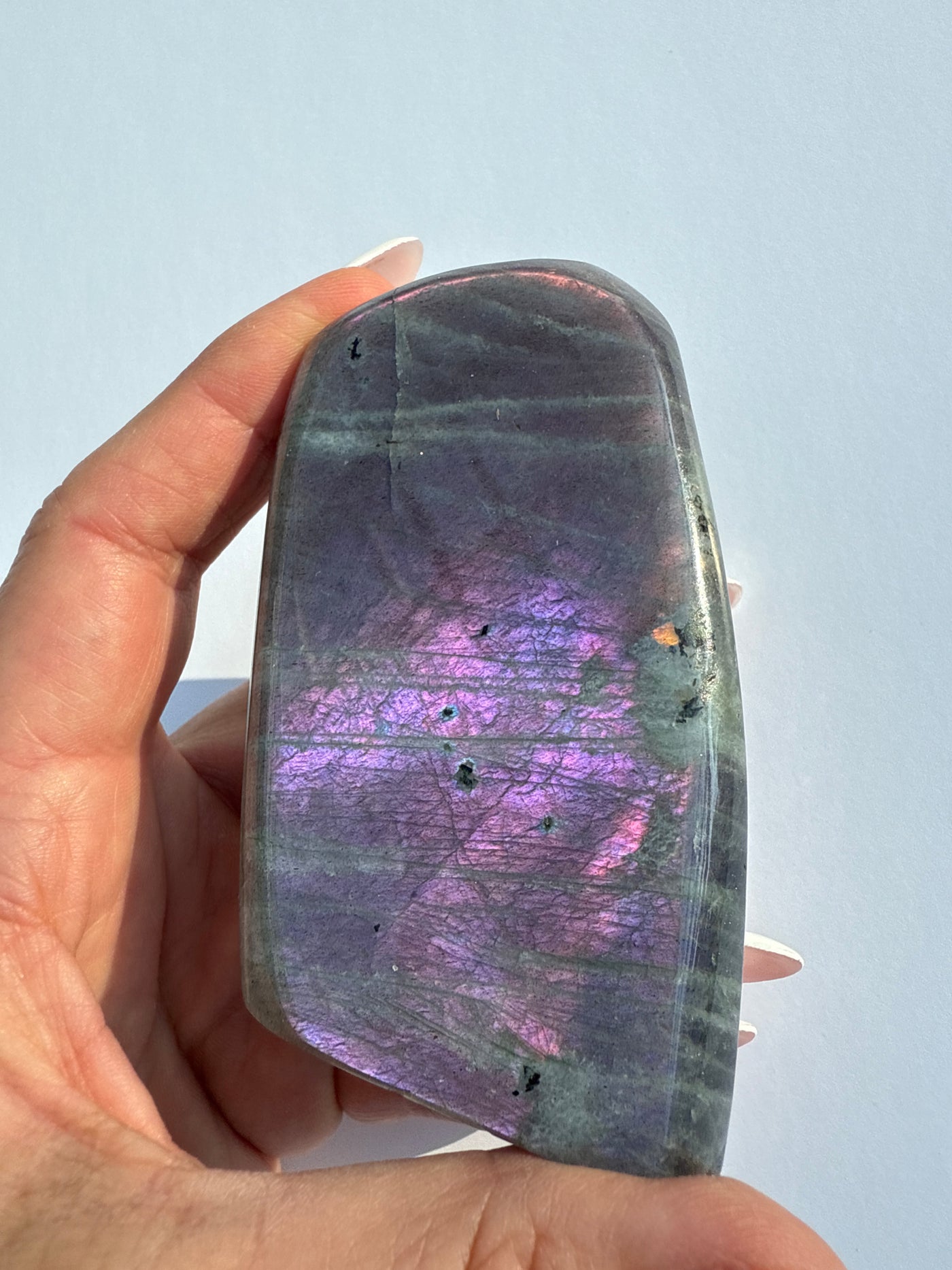 Purple Haze Spectrolite Freeform 34