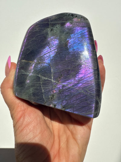 Purple Haze Spectrolite Freeform 10
