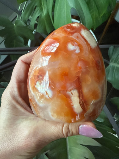 Carnelian Free form 4