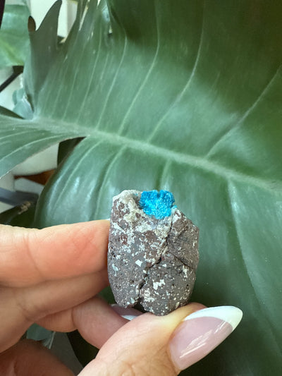 Cavansite 33
