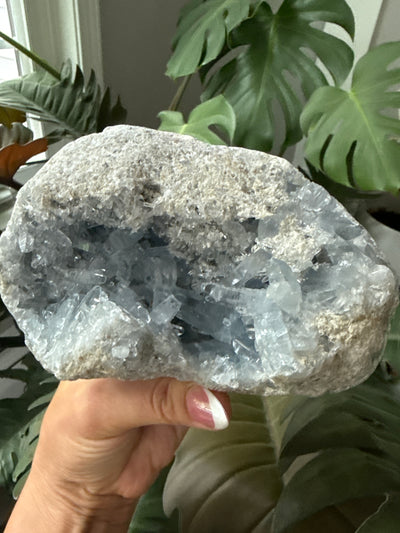 Celestite Geode 16