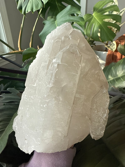 Smoky Elestial and Lemurian Quartz 1