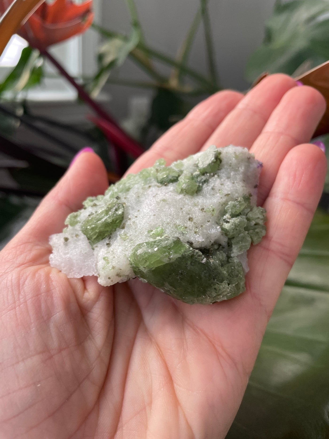 Chromium Diopside in Quartz Matrix 13