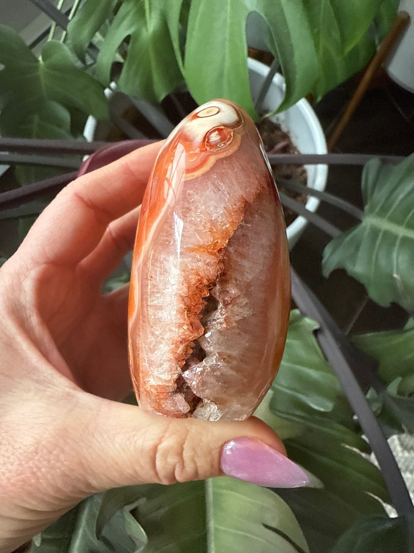 Carnelian Free form 4