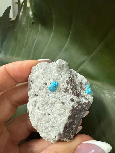 Cavansite 10