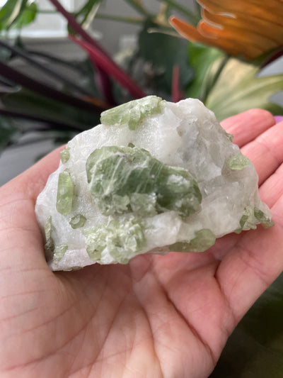 Chromium Diopside in Quartz Matrix 2