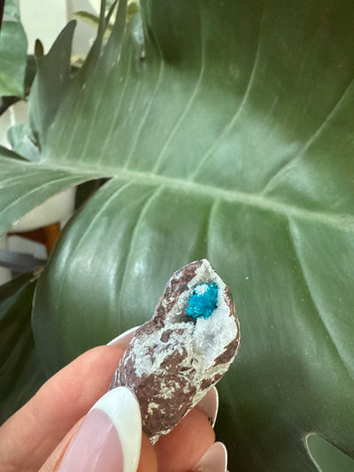 Cavansite 37