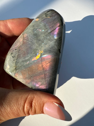 Purple Haze Spectrolite Freeform 42