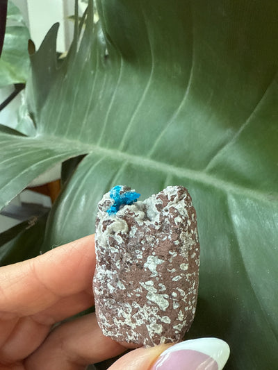 Cavansite 18