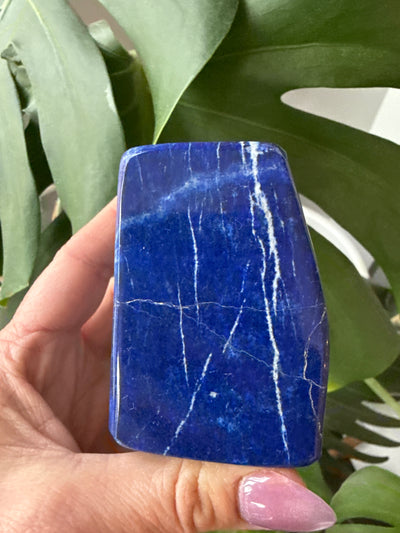 Lapis Lazuli Freeform 1