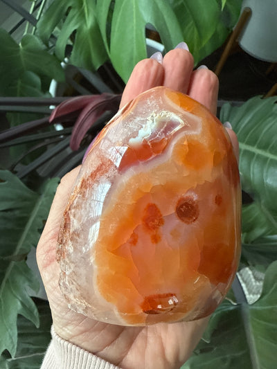 Carnelian Free form 4