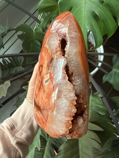 Carnelian Free form 3