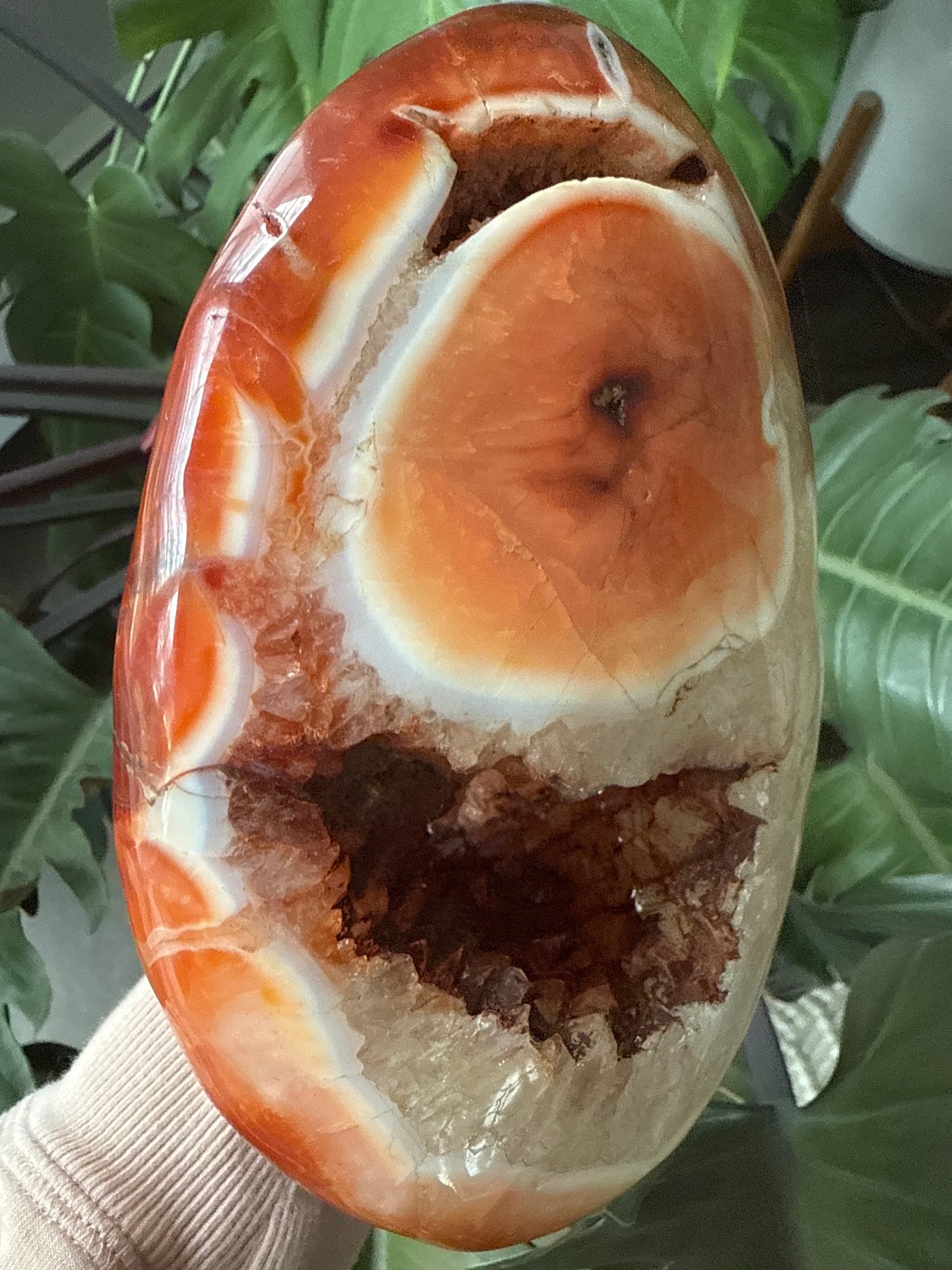 Carnelian Free form 2