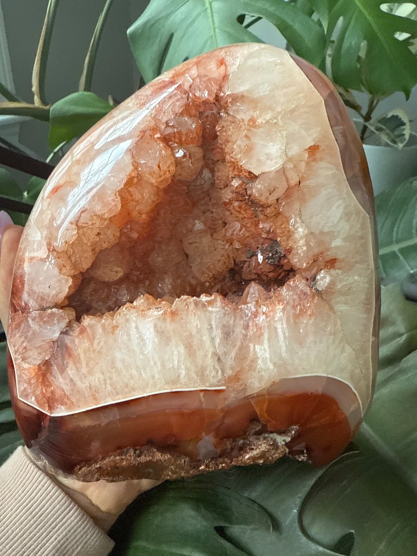 Carnelian Free form 1