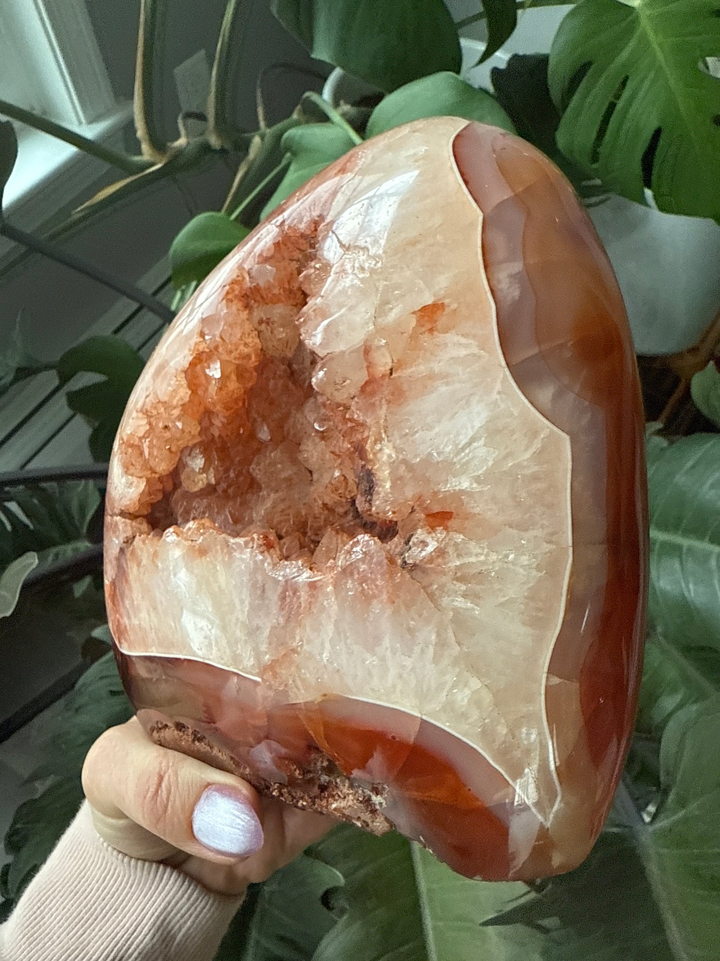Carnelian Free form 1