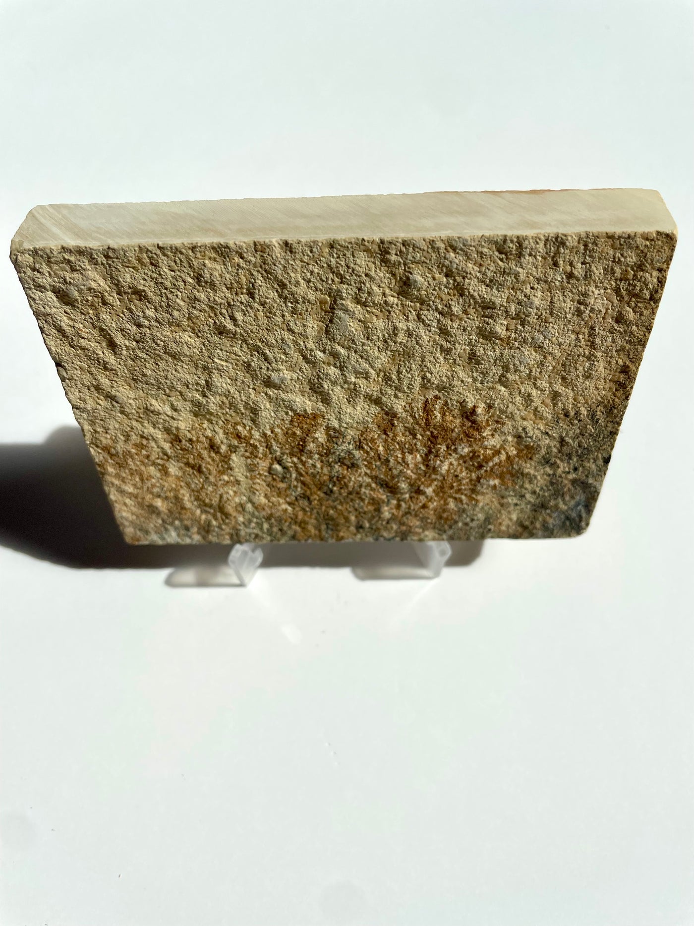 Mini Dendritic Slab 4