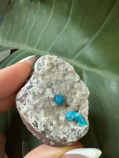 Cavansite 16