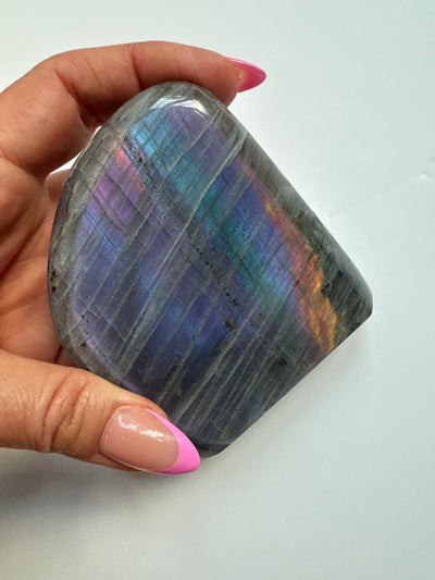 Purple Haze Spectrolite Freeform 13