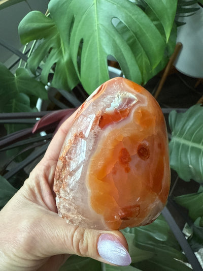 Carnelian Free form 4