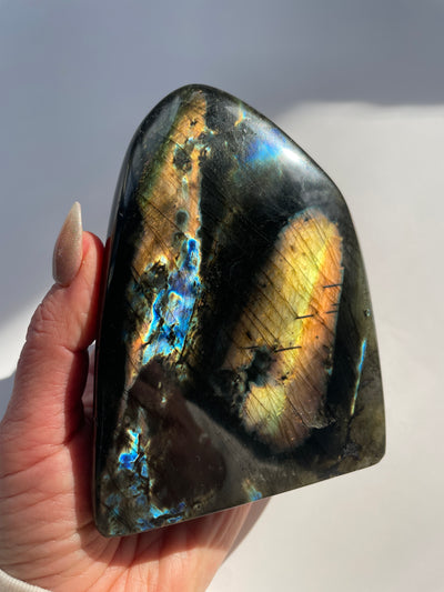 Spectrolite Freeform 4