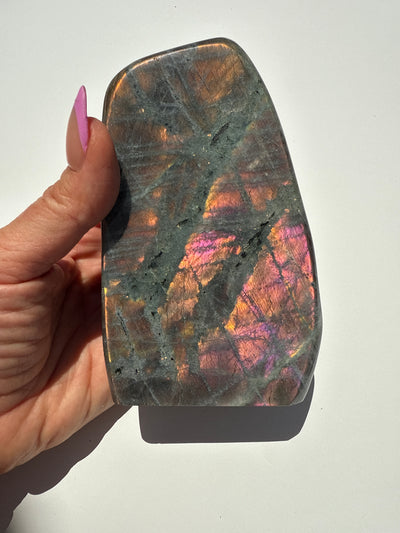 Purple Haze Spectrolite Freeform 8