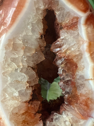 Carnelian Free form 2