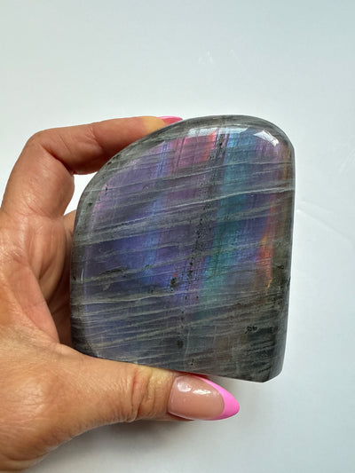 Purple Haze Spectrolite Freeform 13