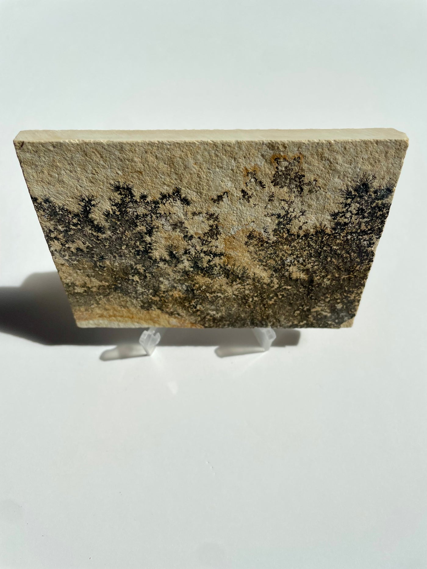Mini Dendritic Slab 5