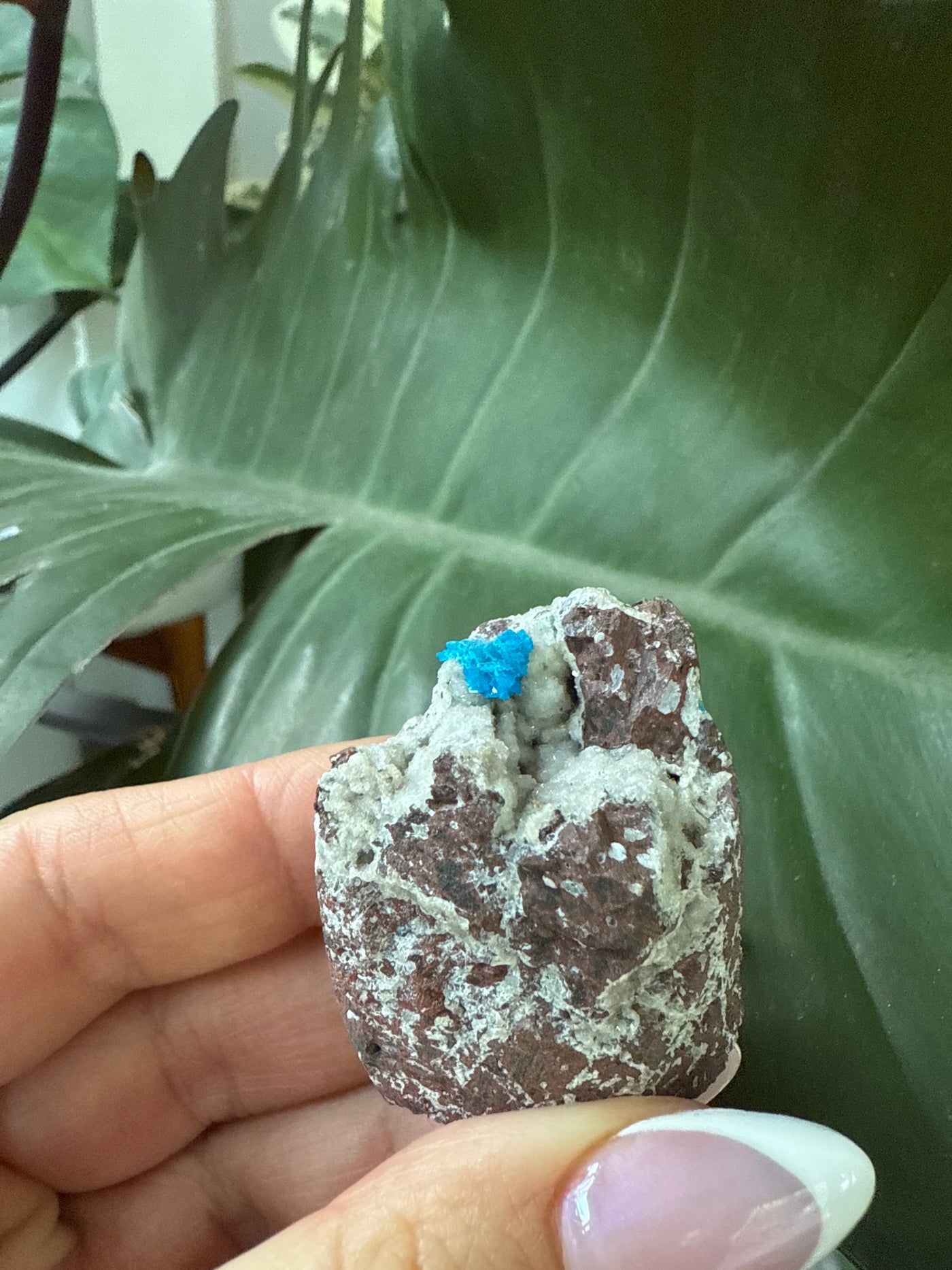 Cavansite 39