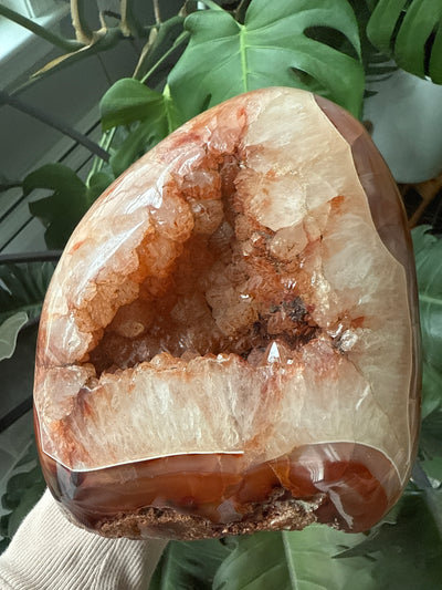 Carnelian Free form 1