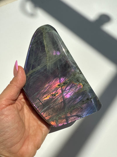 Purple Haze Spectrolite Freeform 7