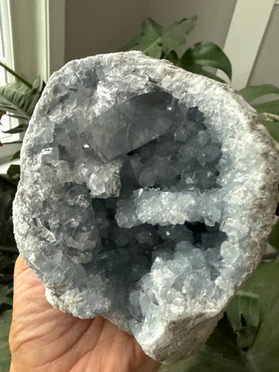 Celestite Geode 13