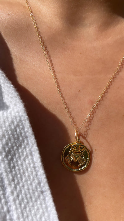 Zodiac Medallion with Mini Charm Necklace