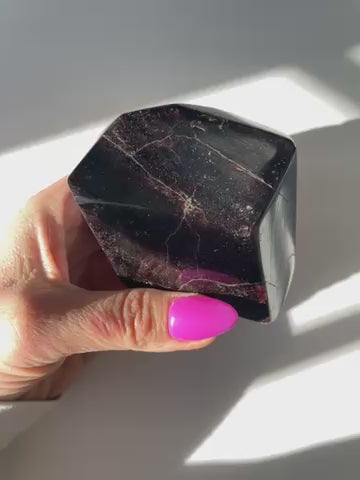 Polished Garnet Showcase Piece