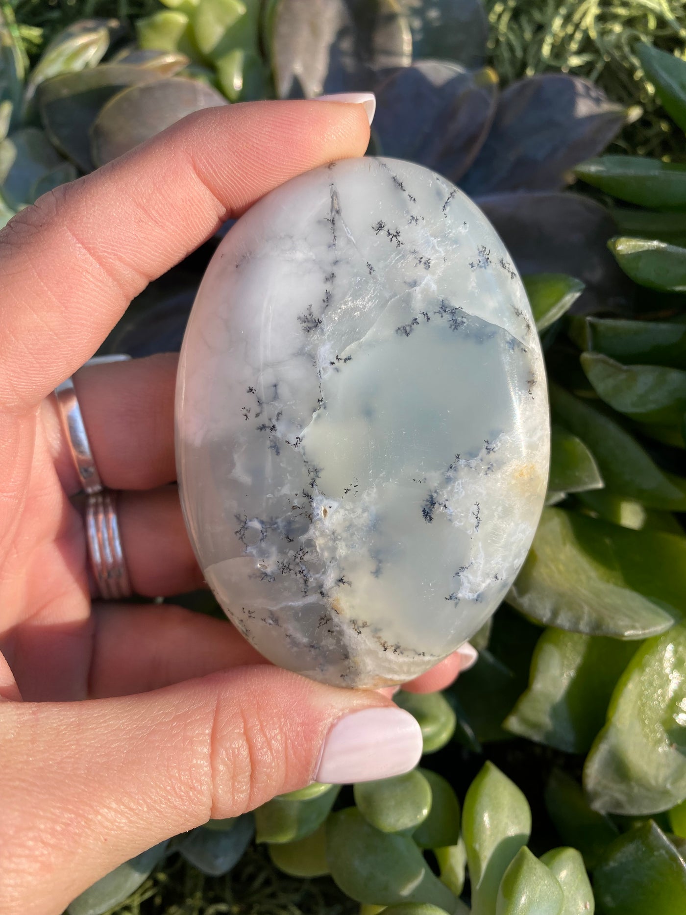 Dendritic Agate Palm Stone