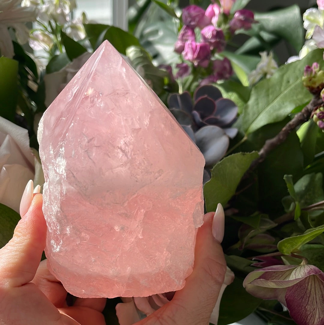 Intuitively Selected Rose Quartz Point