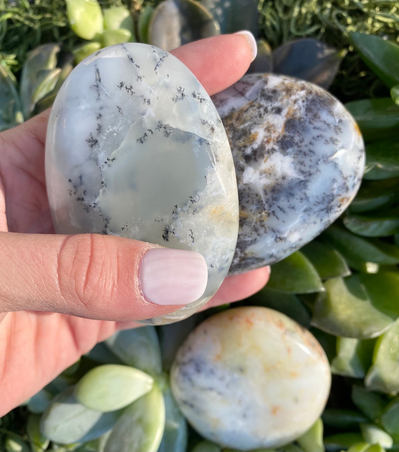 Dendritic Agate Palm Stone