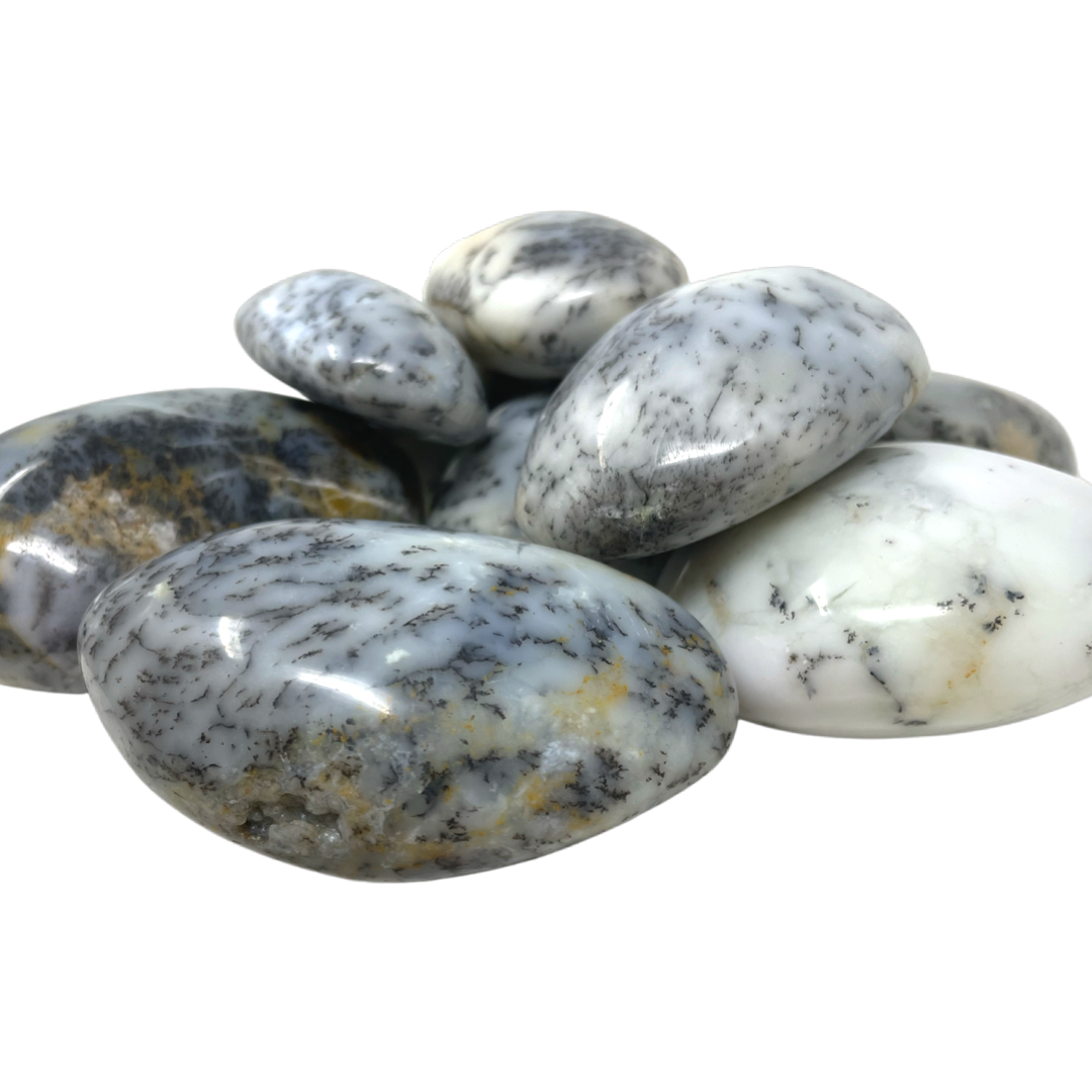 Dendritic Agate Palm Stone