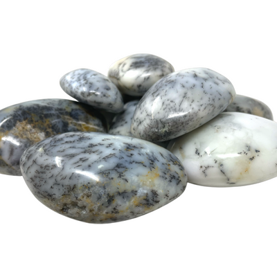 Dendritic Agate Palm Stone