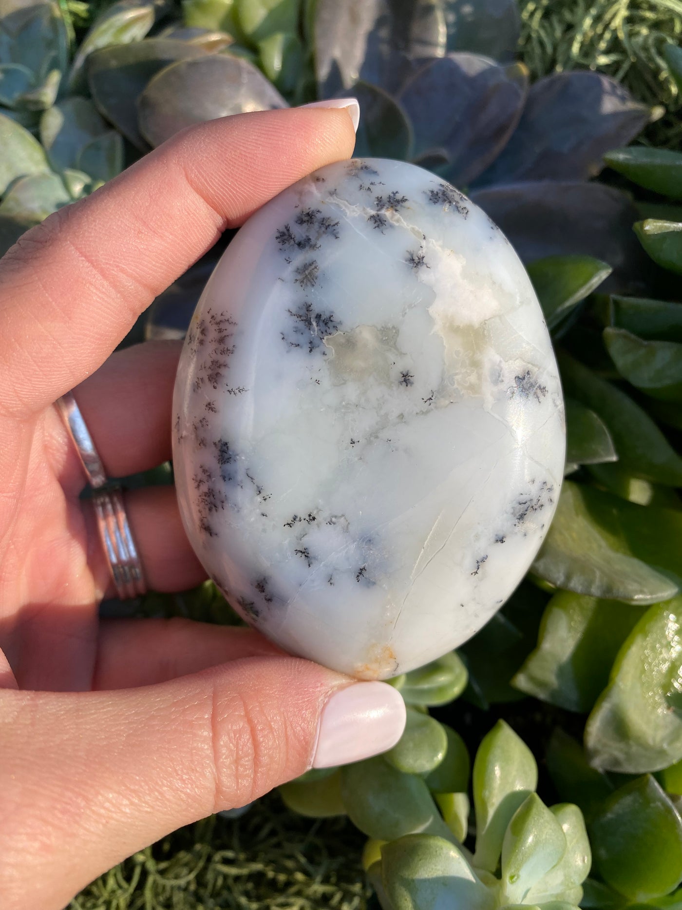 Dendritic Agate Palm Stone