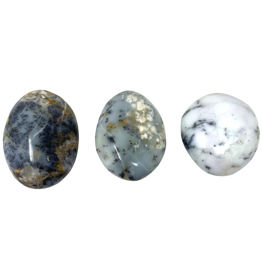 Dendritic Agate Palm Stone
