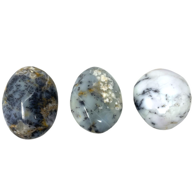 Dendritic Agate Palm Stone