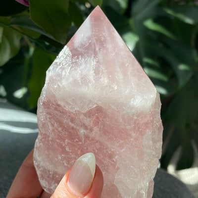 Intuitively Selected Rose Quartz Point