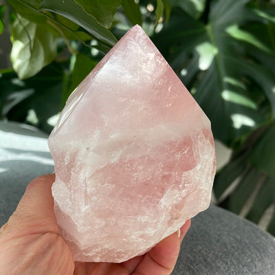 Intuitively Selected Rose Quartz Point