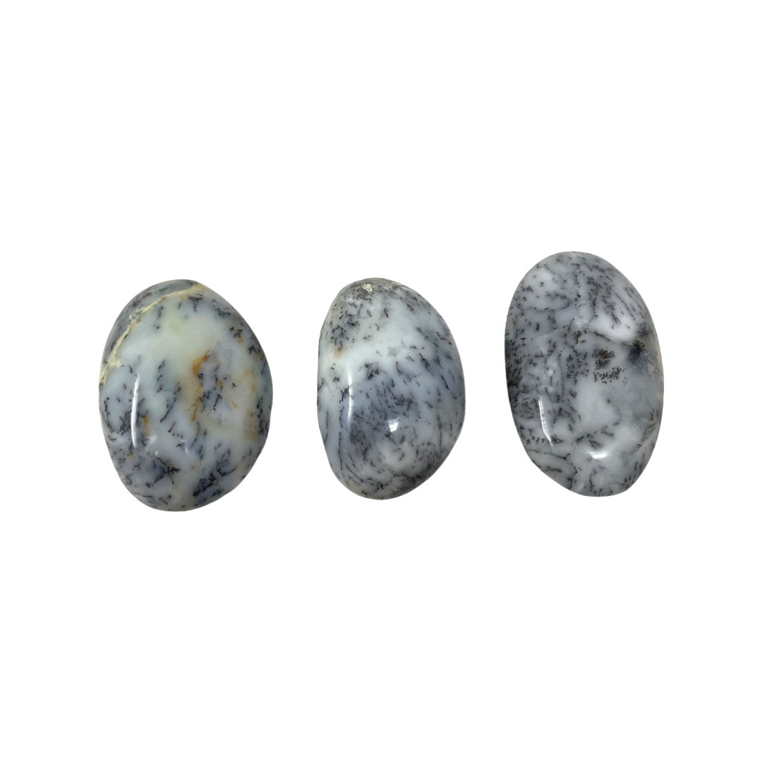 Dendritic Agate Palm Stone