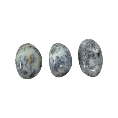 Dendritic Agate Palm Stone